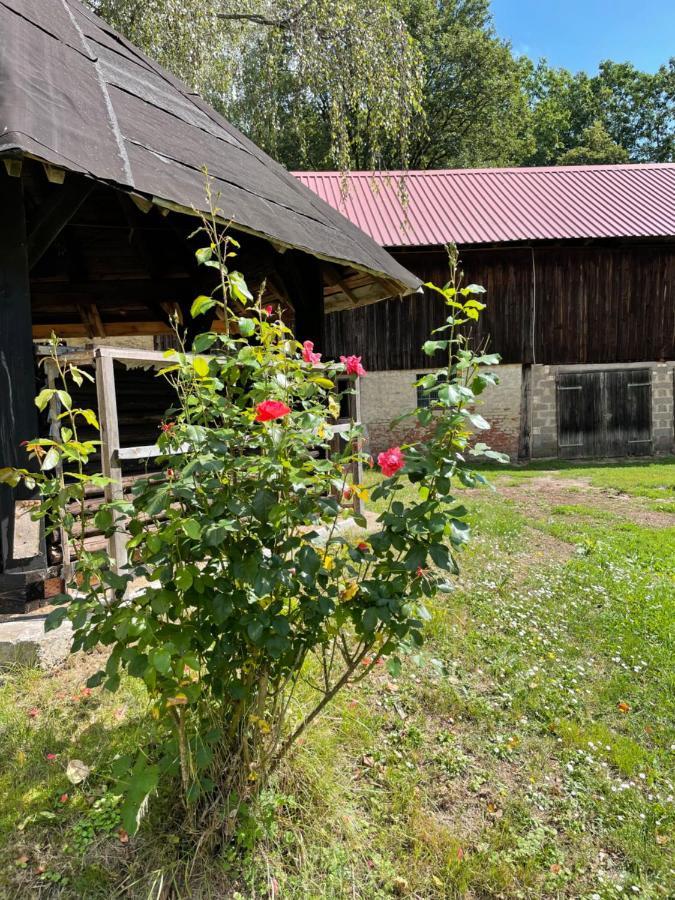 Апартаменти Schellnhof Forsthaus Am Waldrand Nidda Екстер'єр фото